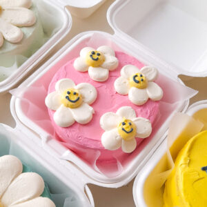 Mini Daisy Bento Cake