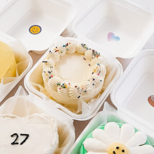 delicate bento cake elegant mini cake